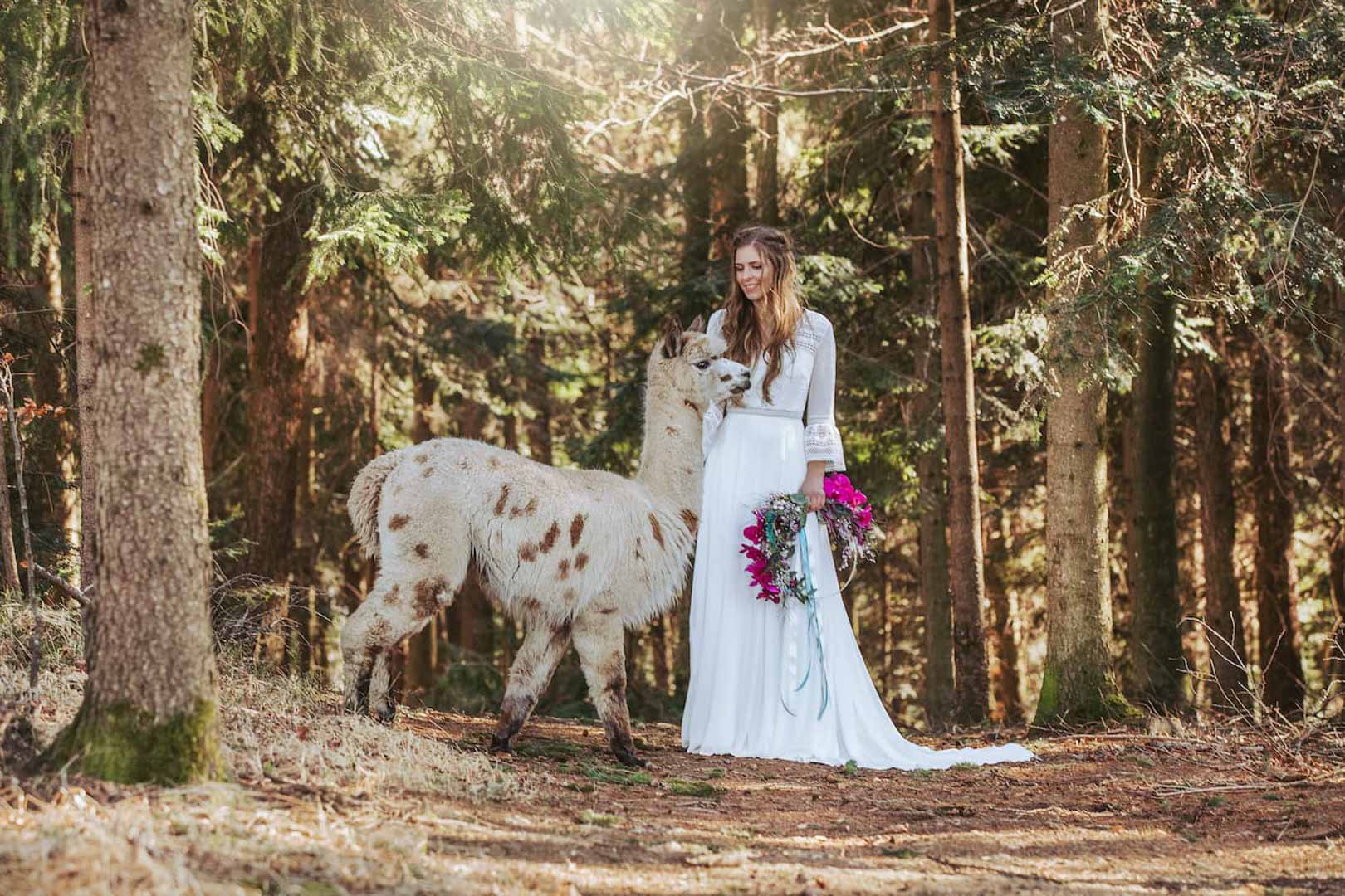 Fotografie Lieblingsbild fotografiert ein Model mit einem Alpaka im Wald bei einem Styleshoot für Hochzeitsfloristin Steffi Schiller.